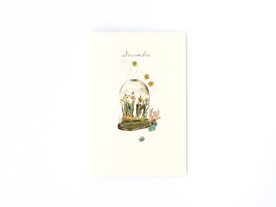 Birthstones and Flowers Card / December