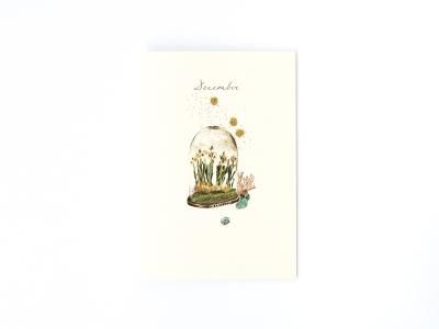 Birthstones and Flowers Card / December