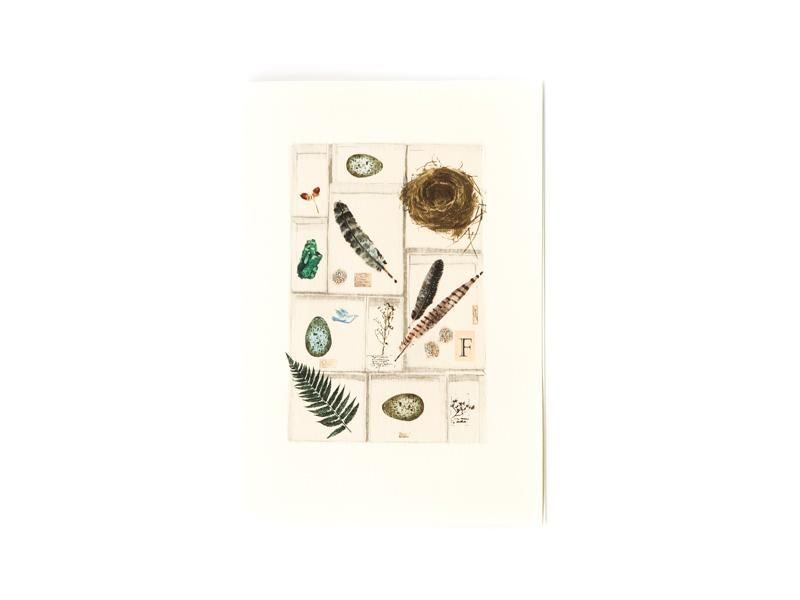 Feathers Card
