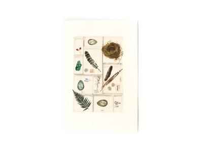 Feathers Card