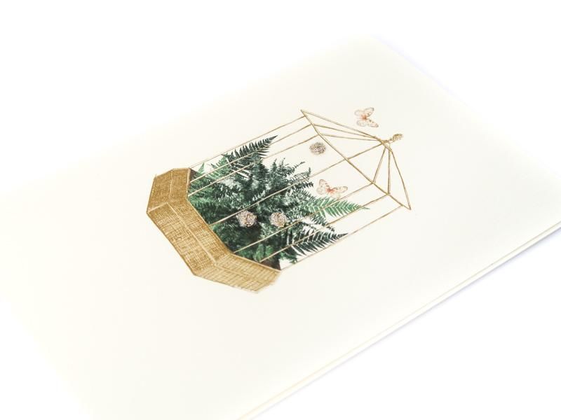 Wardian Fern Case Card
