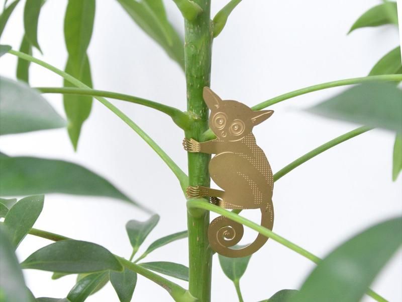 Plant Animals / Bush Baby