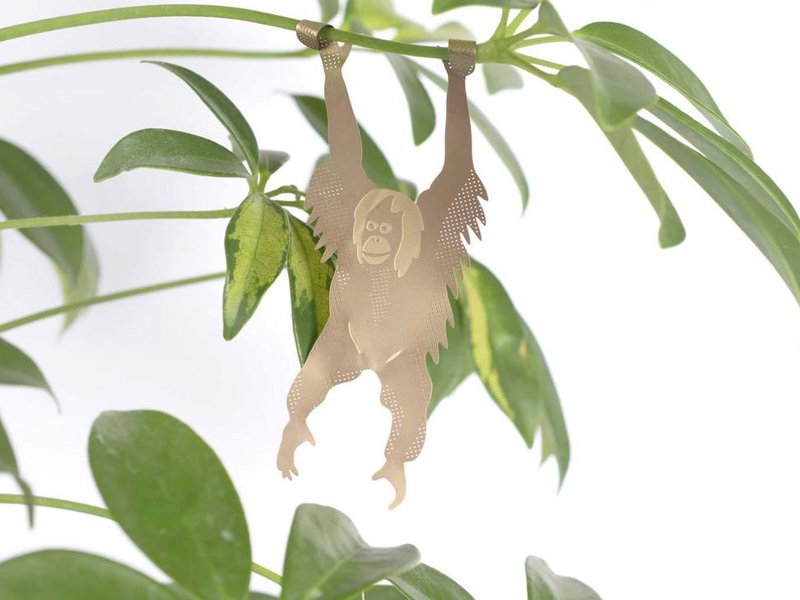 Plant Animals / Orangutan