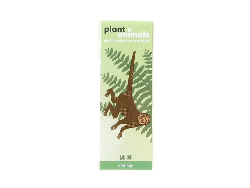 Plant Animals / Spider Monkey