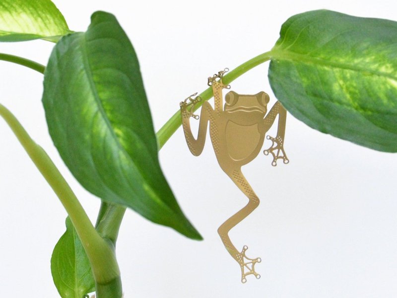 Plant Animals / Frog