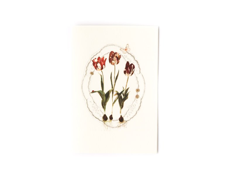 Dutch Tulips Card