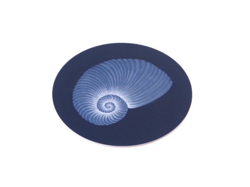 Coaster / Blue Shell