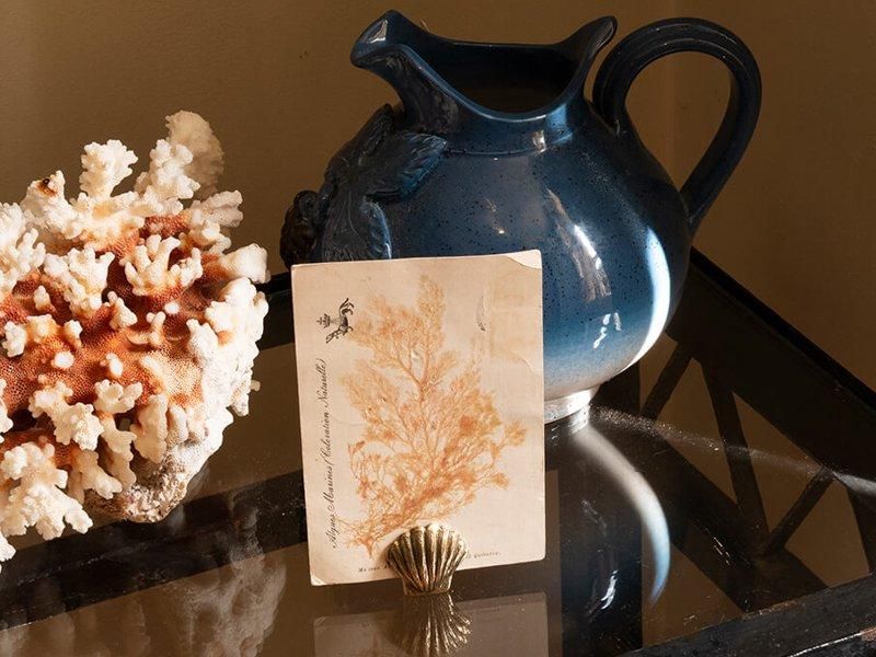 Card Holder / Shell
