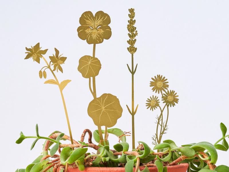 Brass Blooms / Herbs