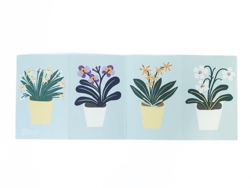 Orchids Card