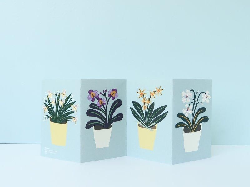Orchids Card