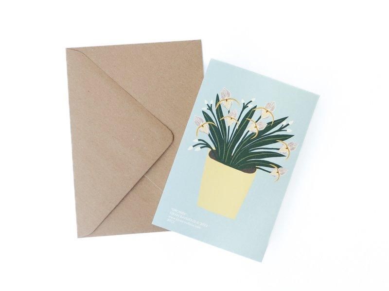 Orchids Card