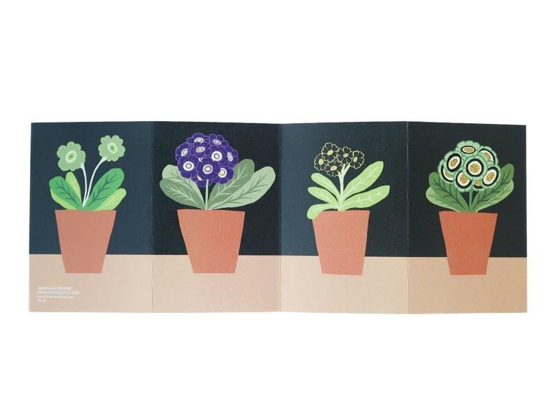 Auricula Theatre Card
