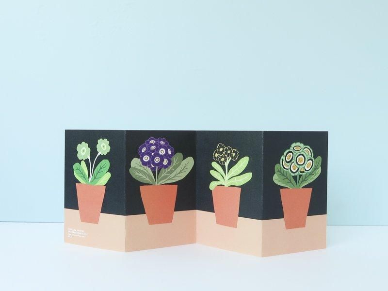 Auricula Theatre Card
