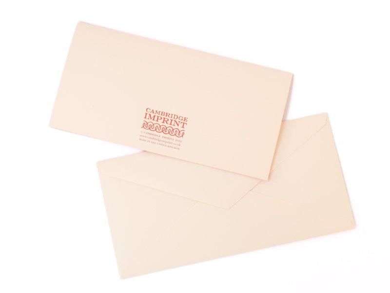 Long Card Two Christmas Birds