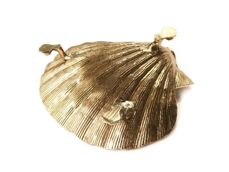 Brass Plate / Shell (Large)