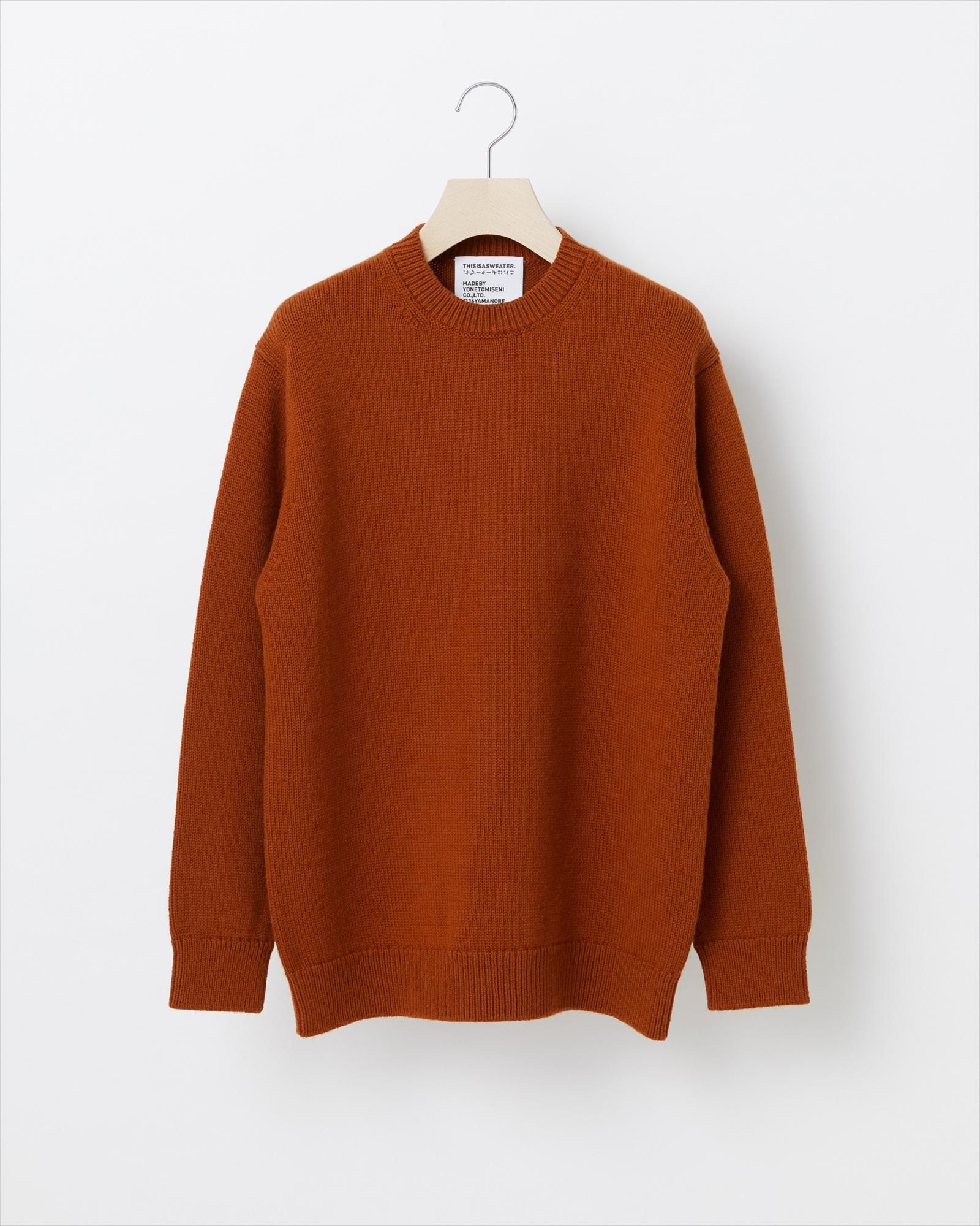 Yonetomi／A SWEATER IS ORDINARY. Pullover A1 : A SWEATER IS ORDINARY. Pullover - BROWN - Yonetomi