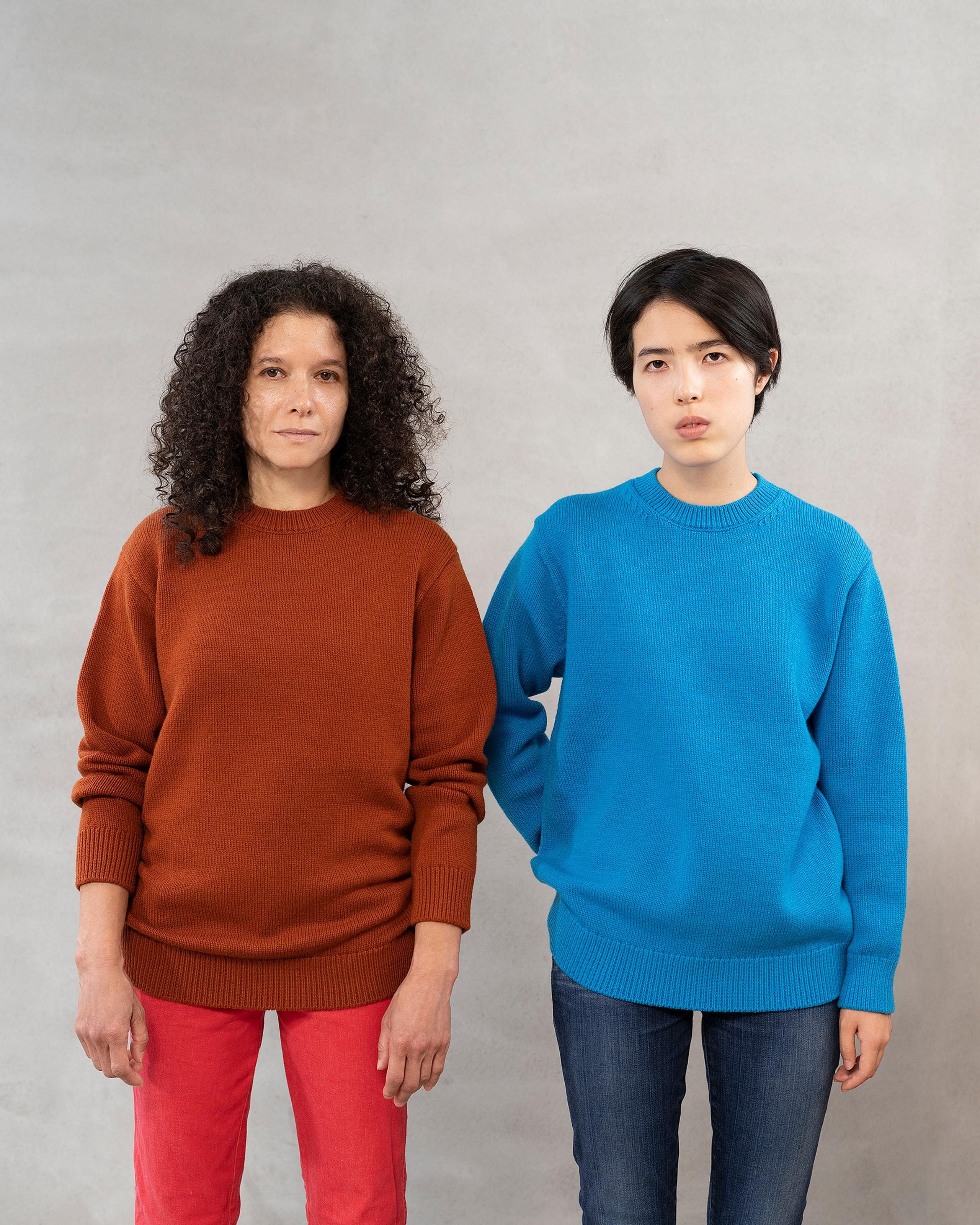 A1 : A SWEATER IS ORDINARY. Pullover - BROWN - Yonetomi
