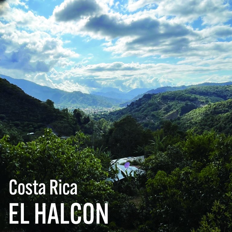 【業務用】Costa Rica / EL HALCON - monte copey micro mill - 1.5kg