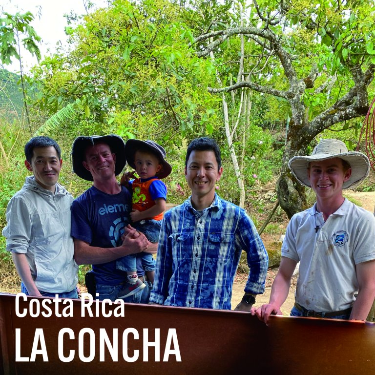 【業務用】Costa Rica / LA CONCHA - lote jairo - 1.5kg