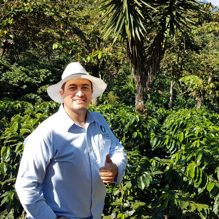 Guatemala / LA GRAN MANZANA COE 2024 #3 100g