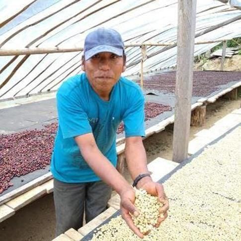 Peru / ABDON QUILLA 100g