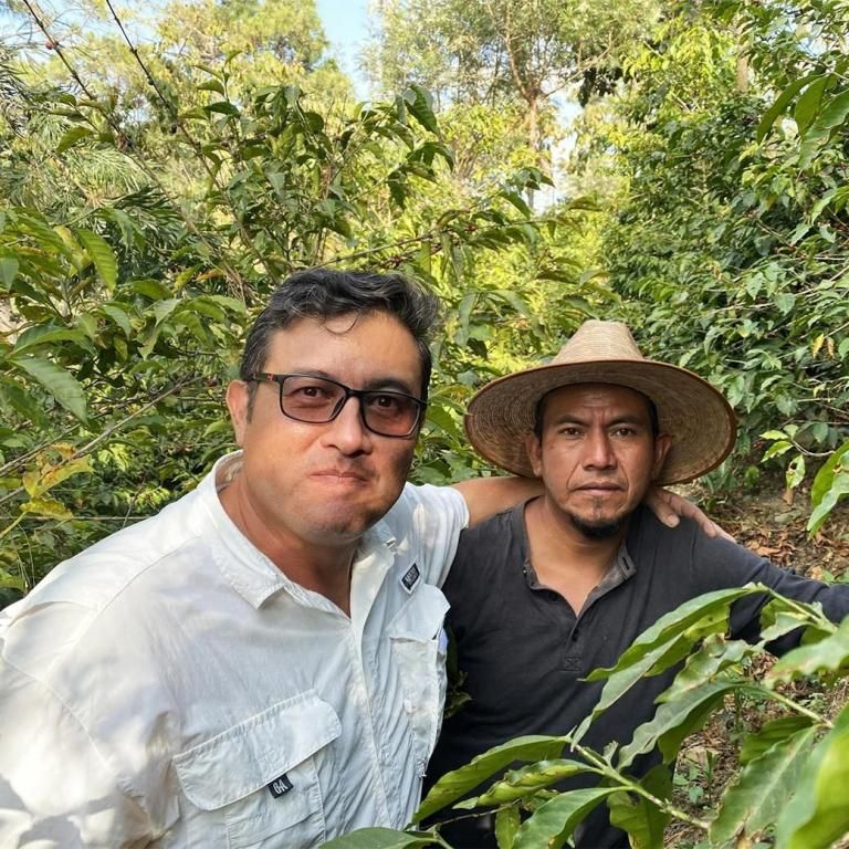 Guatemala / AGUACATONES 100g