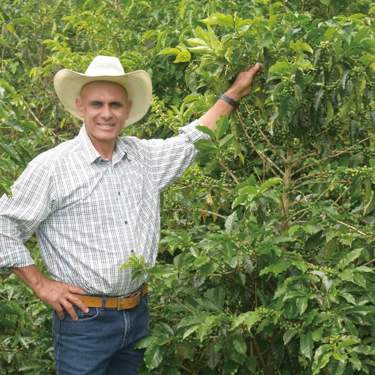 <img class='new_mark_img1' src='https://img.shop-pro.jp/img/new/icons14.gif' style='border:none;display:inline;margin:0px;padding:0px;width:auto;' />Honduras / LOS PINOS 100g