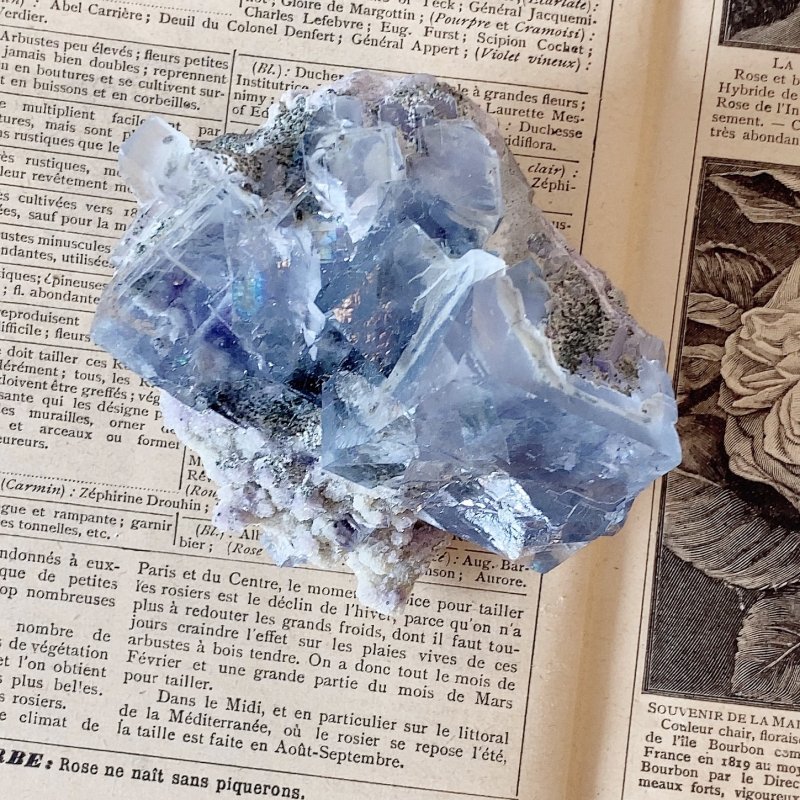 ブルーフローライト - 天然石パワーストーンANGELICA｜mimineko