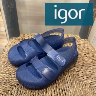 igor 롡BondiܥǥTR  AZUR ֥롼 12-21cm