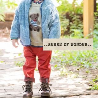<img class='new_mark_img1' src='https://img.shop-pro.jp/img/new/icons12.gif' style='border:none;display:inline;margin:0px;padding:0px;width:auto;' />SENSE OF WONDER󥹥֥ȥåĥơѡɥѥ 