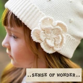 SENSE OF WONDER󥹥֥ ˥ååȥ ե˥å˹ 