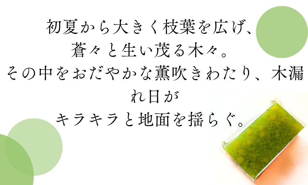 ԡࡡʡ²ۻҡ潡ͮҡơꡡƻ