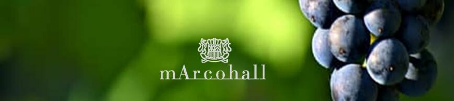 mArcohall ʥ磻󥷥å ޥ륳ۡ