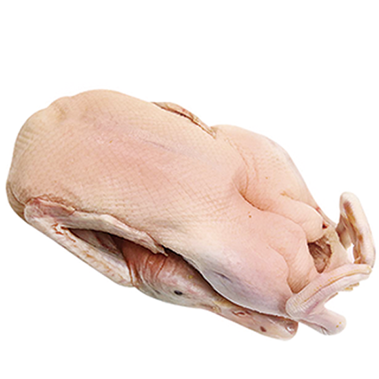 Duck      1.8kg-2.0kg