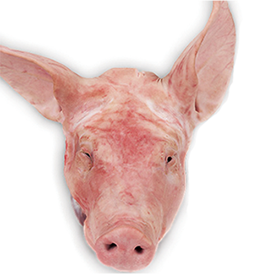 Ulo ng Baboy Whole