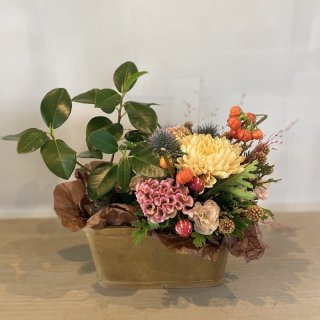 GreenPot + Flower Arrangement
