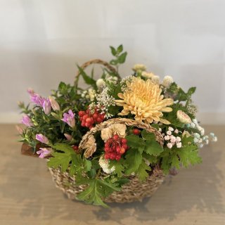 FlowerPot + Flower Arrangement