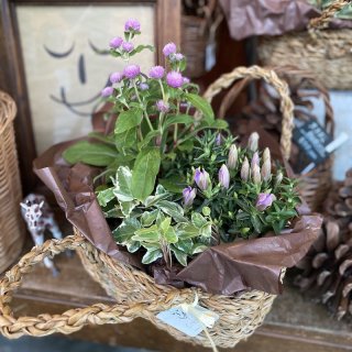 Autumn Flower Basket  δ󤻥Хå