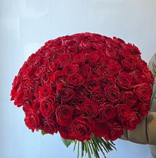 ܤ鯤β« Bouquet of 99 roses