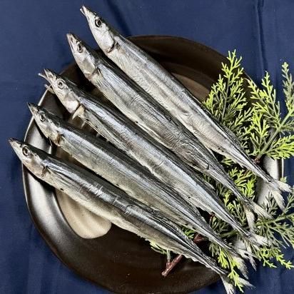 サンマ丸干し 熊野の美味しい干物通販専門店 畑辰商店