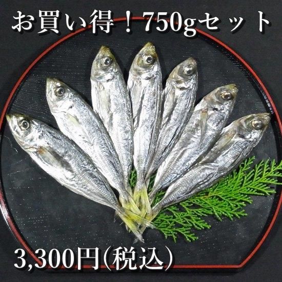 アジ丸干し 750g 150g 5袋 お得セット あじの干物通販 熊野の美味しい干物ギフトお取り寄せ 畑辰商店