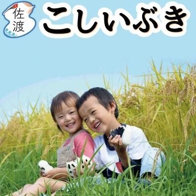 <img class='new_mark_img1' src='https://img.shop-pro.jp/img/new/icons61.gif' style='border:none;display:inline;margin:0px;padding:0px;width:auto;' />6ǯ 㸩ϻ֤ 5kg<br>̵ۡء