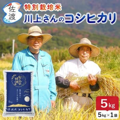 <img class='new_mark_img1' src='https://img.shop-pro.jp/img/new/icons5.gif' style='border:none;display:inline;margin:0px;padding:0px;width:auto;' />ڿơ7ǯ ϻҥ 5kg<br>夵Υץߥ <br>̵ۡء