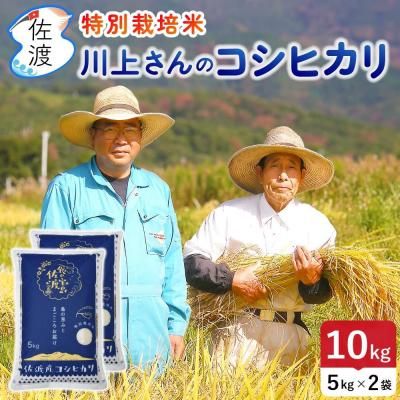 <img class='new_mark_img1' src='https://img.shop-pro.jp/img/new/icons5.gif' style='border:none;display:inline;margin:0px;padding:0px;width:auto;' />ڿơ7ǯ ϻҥ 10kg<br>夵Υץߥ ̵ۡء