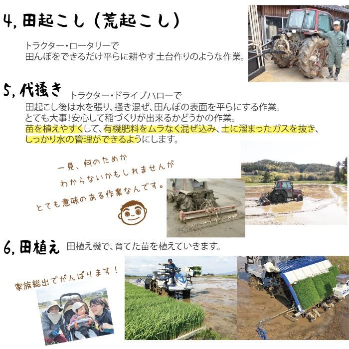 土屋店長のコシヒカリ5㎏ 土屋店長のコシヒカリ5㎏