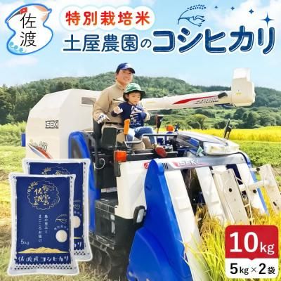 <img class='new_mark_img1' src='https://img.shop-pro.jp/img/new/icons5.gif' style='border:none;display:inline;margin:0px;padding:0px;width:auto;' />ڿơ7ǯ ϻҥ 10kg<br>̺ ڲ ϼΤơ̵ۡء