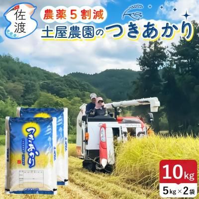 <img class='new_mark_img1' src='https://img.shop-pro.jp/img/new/icons5.gif' style='border:none;display:inline;margin:0px;padding:0px;width:auto;' />ڿơ7ǯ ϻĤ 10kg ڲ ϼΤ<br>̵ۡء