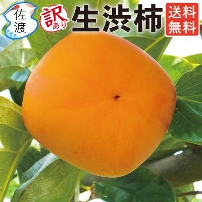 ͽۡۺϻ ³ 18kg<br>M/S/SS_ù