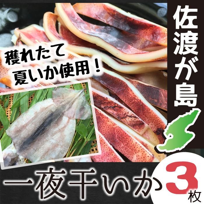 楽天市場】【送料無料】佐渡産 一夜干しイカ 6枚 (2枚入 3袋